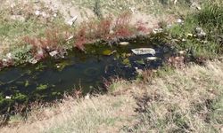 Gediz Havzası'nda kirlilik artıyor