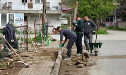 Giresun Belediyesi ekiplerinden sahada eş zamanlı çalışma
