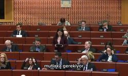 Gökçe Gökçen: 'Genç ve kadın siyasetçiler, nefret söylemine daha çok maruz kalıyor'