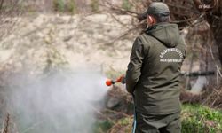 Gölbaşı Belediyesi'nden vektörlerle 12 ay kesintisiz mücadele