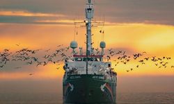 Greenpeace Türkiye'nin Arctic Sunrise Gemisi Sumud Filosu'na katılıyor