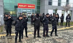 Gülistan Doku soruşturması: Eski Tunceli Devlet Hastanesi Başhekimi Çağdaş Özdemir tutuklandı