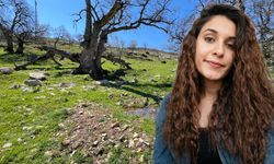 Gülistan Doku soruşturması için 5 ayrı ekip kuruldu, aramalar nokta atışı olarak yapılıyor