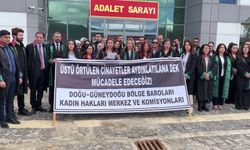 Gülistan Doku soruşturması... Tunceli Adliyesi önünde 17 baroya üye avukatlardan açıklama: Sorumlular makam ve mevki farkı gözetilmeksizin ortaya çıkarılmalı