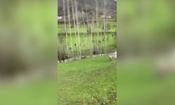 Hakkari'de kaybolan çocuğun cansız bedeni 4. günde bulundu