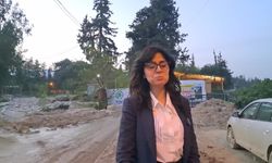 Hatay'daki Atatürk Parkı'nda asırlık ağaçlar nehir ıslah çalışması sırasında kesiliyor: '100 yıllık park bu şekilde yok edilerek nereye varılacak?'