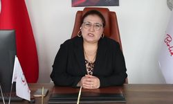 Hekim Birliği Genel Başkanı Balcı: 'Sağlıkta şiddet sistematiktir ve bu sistem değişmeden bu şiddet bitmeyecektir'