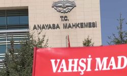 İkizköylüler, Akbelen için AYM önünde... Tutuklu Esra Işık'ın annesi Nejla Işık: 'Yürütmeyi durdurma verilmesini, acele kamulaştırmanın iptalini talep ediyoruz'