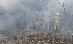 İstanbul Valiliği: Beykoz'daki orman yangını yeniden kontrol altına alındı