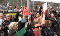 İstanbul Valiliği: Sokak hayvanları konusunda herhangi bir rehavet ya da geri adım söz konusu olamaz