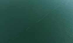 İzmir Körfezi'nde 12'nci kez dış kaynaklı kirlilik tespit edildi