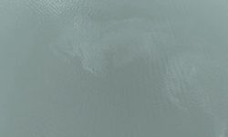 İzmir Körfezi'nde kirlilik alarmı