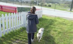 İzmir'de barınaklardan 3 binin üzerinde hayvan sahiplendirildi