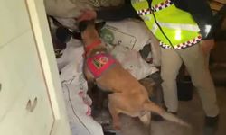 Jandarmadan 25 ilde operasyon: 396 ruhsatsız silah ele geçirildi, 404 şüpheli yakalandı