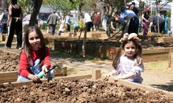 Kadıköy Bostanları'nda yaz dönemi başladı