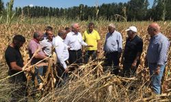 Kadim Durmaz: 'Mısırda yapılması gereken ithalatın önünü açmak değil, üreticinin önünü açmaktır'