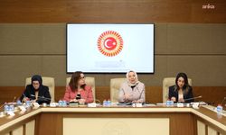 Kamu Denetçiliği Kurumu'nun 'Kadına Yönelik Şiddetle Mücadelede Kurumsal Uyumun Güçlendirilmesi' raporu, TBMM KEFEK'e sunuldu