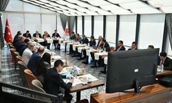 Kars-Gümrü demiryolunun faaliyet geçirilmesi amacıyla oluşturulan Türkiye-Ermenistan Ortak Çalışma Grubu toplantısı yapıldı