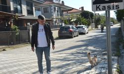 Kedisi ezilince yolu kapatan Ortacalının eylemi sonuç verdi: Sokağa kasis yapıldı