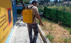 Kuşadası Evcil Hayvan Bakım ve Rehabilitasyon Merkezi'nde ilaçlama çalışması