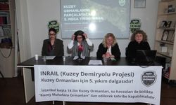 Kuzey Ormanları Savunması: 'Kuzey Ormanları, İstanbul'un nefesi, suyu ve yaşam sigortasıdır'