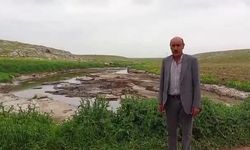 Mahmut Tanal'dan Eyyübiye iddiası: 'Organize sanayi ve besi tesislerinden kaynaklanan atık sular toprağa, yeraltı sularına ve tarım alanlarına karışıyor'