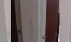 Malatya'da dolu felaketi: Kayısı ve meyve ağaçlarında zarar, hasar tespit çalışmaları başlatıldı