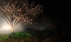 Malatya'da zirai don alarmı: Tarım il müdürlüğü ekipleri ve üreticiler don riskine karşı gece boyunca yoğun mesai yaptı