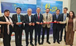 Maltepe'de Türkiye- Çin diplomatik ilişkilerinin 55'inci yılı sergiyle kutlanıyor