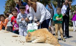 Manavgat Belediyesi kreş öğrencileri, sahipsiz can dostları besledi