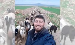 Mardin'de çoban cinayetiyle ilgili yürütülen soruşturmada gözaltına alınan 17 şüpheliden 5'i tutuklandı