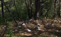 Marmaris Belediyesi'nden Armutalan seyir tepesinde temizlik çalışması