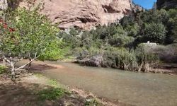 Mersin Büyükşehir 'Kilikya Ultra Maratonu'nun tanıtım koşusunu düzenledi