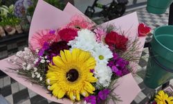 Mersin'de MERCEK ile hayaller gerçeğe dönüşüyor