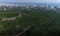 Mersin'de narenciye bahçelerinin bulunduğu Davultepe Mahallesi'ni 'organize tarım bölgesi' yapma çalışmaları protesto edildi