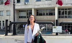 Muğla'da eğlence mekanında 'cinsel saldırıya' 4 yıl 2 ay hapis cezası