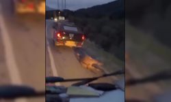 Muğla'da eşeği aracın arkasına bağlayarak sürükleyen 2 kişi gözaltına alındı, şahıslara para cezası kesildi