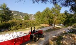 Muğla'da kaçak döküm yapanlar fotokapandan kaçamadı