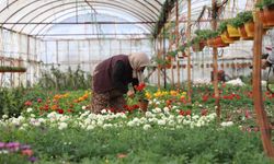 Muğla'da kurulacak 'Çiftçi Kadın Meclisi' için ilk adım Ortaca'da atıldı