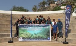 Muratpaşa Belediyesi'nden Mermerli Plajı'nda deniz dibi temizliği