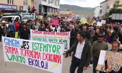 Muş'ta Jeotermal Enerji Santrali'ne karşı miting düzenlendi