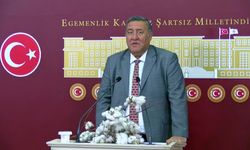 Ömer Fethi Gürer: 'Pamuk üreticisi zor durumda. İthalat artıyor, ekim azalıyor'