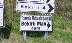 Ortahisar Belediye Başkanı Kaya'dan Trabzonlu Muhacirler Şehitliği'nin düzenlenmesi için kurumlara çağrı