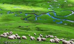 Perşembe, Korgan, Aybastı sakinleri maden karşıtı mitinge hazırlanıyor: Bugün ses çıkarmazsak; bereketli topraklarımızdan geriye sadece ölüm kalır