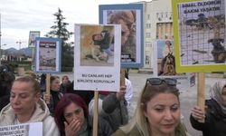 Rize'de hayvanseverler sokağa çıktı: Fındıklı'daki barınakta hayvanlar adeta ölüme terk edildi