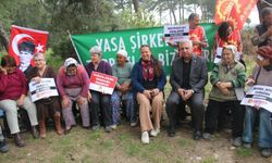 Seyit Aslan'dan Akbelen açıklaması: Esra Işık derhal serbest bırakılmalı