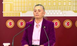 Sibel Suiçmez: İcra dosyaları dağ gibi birikmiş durumda