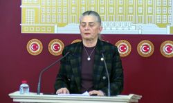 Sibel Suiçmez: Sekü'deki tüm maden faaliyetleri derhal durdurulsun