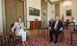 TBMM Başkanı Kurtulmuş, Bosna Hersek'in Ankara Büyükelçisi Colakovic'i kabul etti