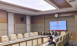 TBMM Dijital Mecralar Komisyonu... Prof. Dr. Kurt: 'Kalabalık bir ortamda çocuğun elini bırakmayan ebeveynler, internet ortamında neden yalnız bırakıyor?'